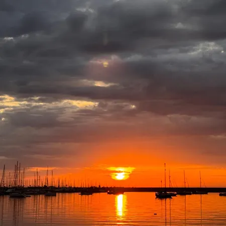 Elimar-torrevieja 托雷维耶哈